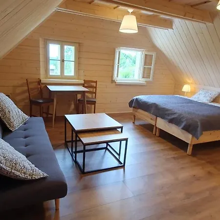 Druzicova Apartment
